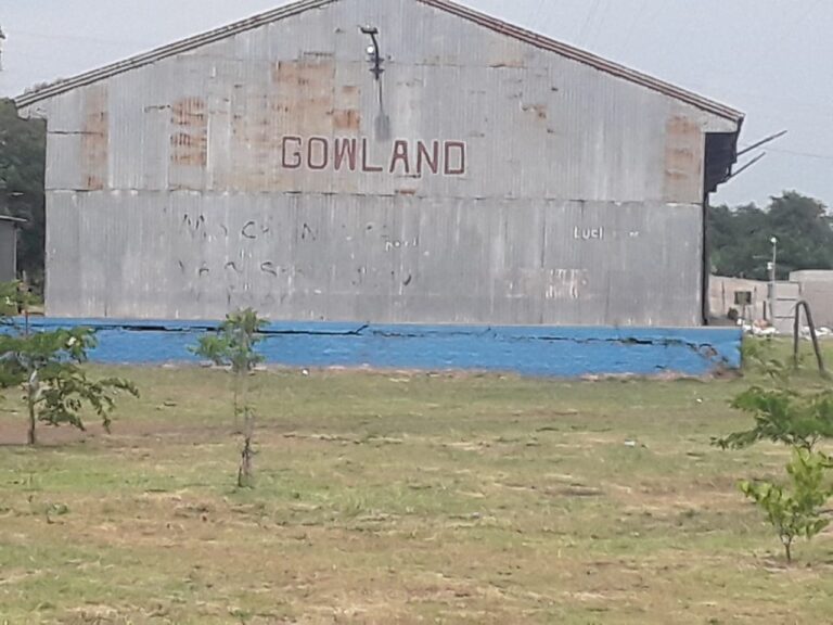 Gowland ya empezó a preparar su fiesta aniversario