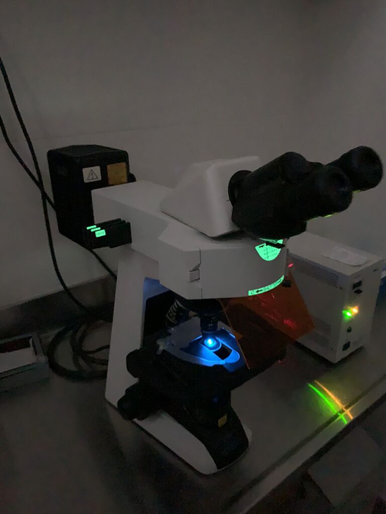 El Laboratorio de Virología Molecular del Dubarry logró secuenciar el genoma completo de Covid.
