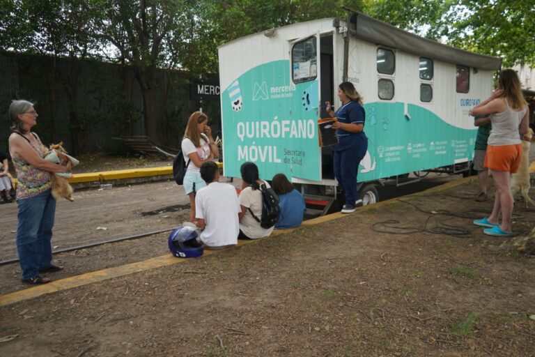 Programa de castración y vacunación animal en los barrios