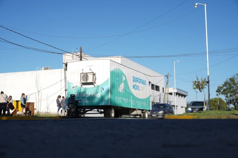 Vacunación y castración por los barrios de la ciudad.