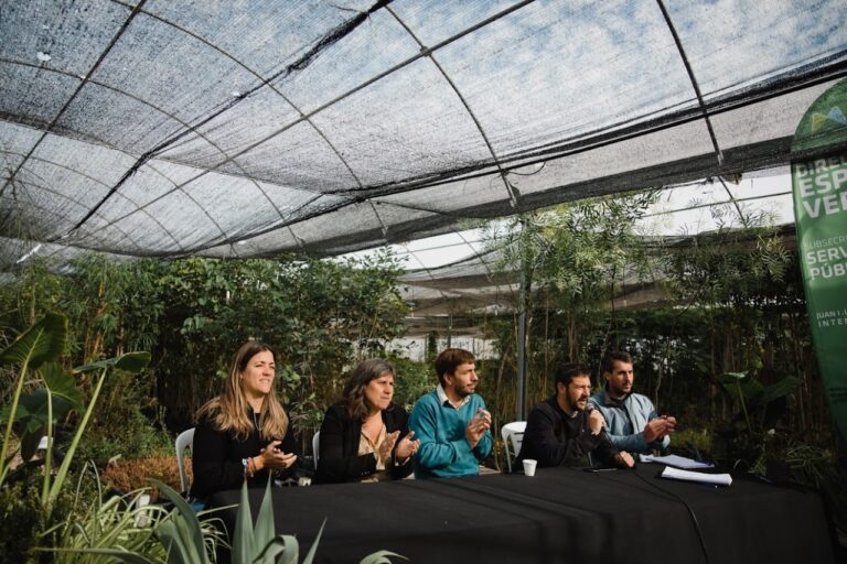 Se lanza programa de fortalecimiento del arbolado urbano
