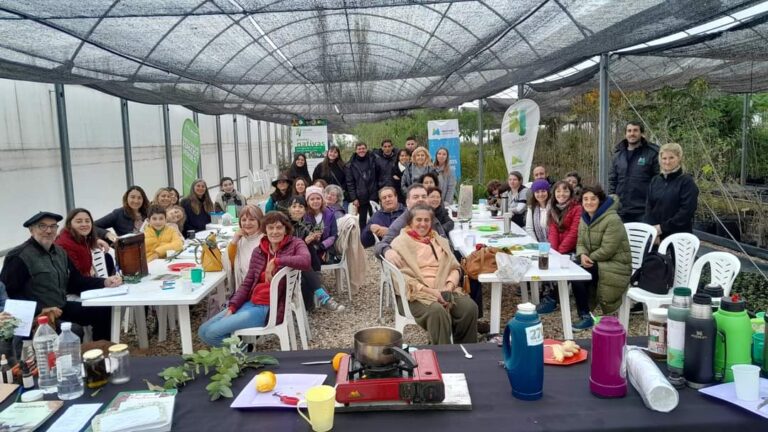 Invitan a taller de plantas medicinales