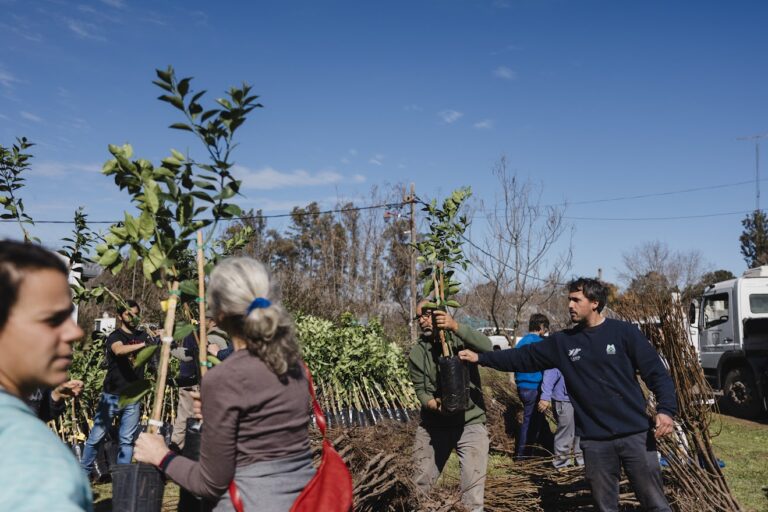Continúan las campañas de forestación y apoyo a productores