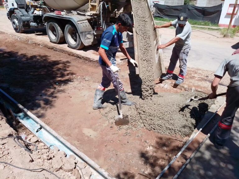 Recambio del colector cloacal de 29 y 40