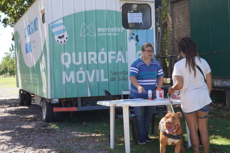 Verano con castraciones y cuidado animar desde Secretaría de Salud