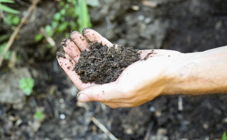 Charla debate sobre producción agroecológica. Este encuentro es libre y gratuito.