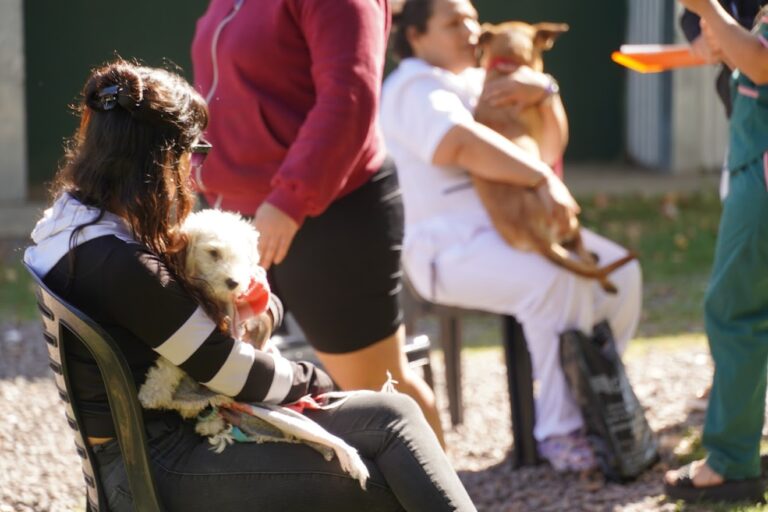 A partir de la semana que viene el quirófano móvil del área de zoonosis estará  en el barrio Mutti (calle 61 y 6)