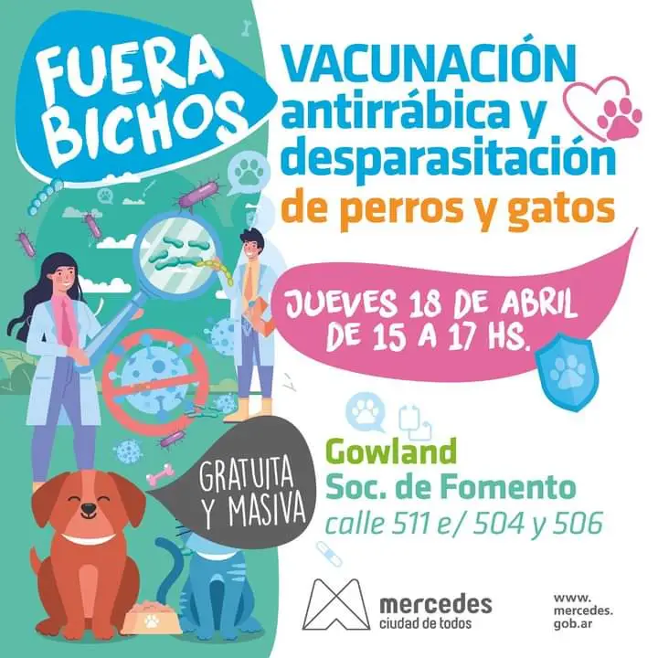 “Fuera bichos” llega este jueves a la sociedad de fomento de Gowland