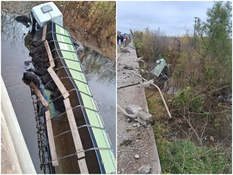 Un camión de hacienda cayó al río con 59 terneros y los vecinos los despostaron en el lugar