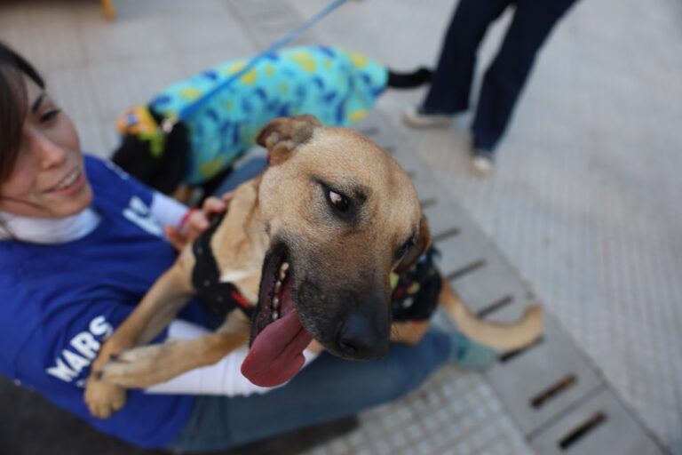 Excelente acompañamiento en el 2° Festival Mascotero en plaza San Luís