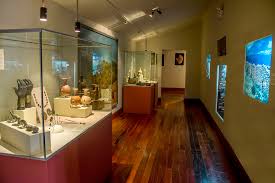 El Museo Paleontológico de Junín ya recibió más de 25 mil visitantes