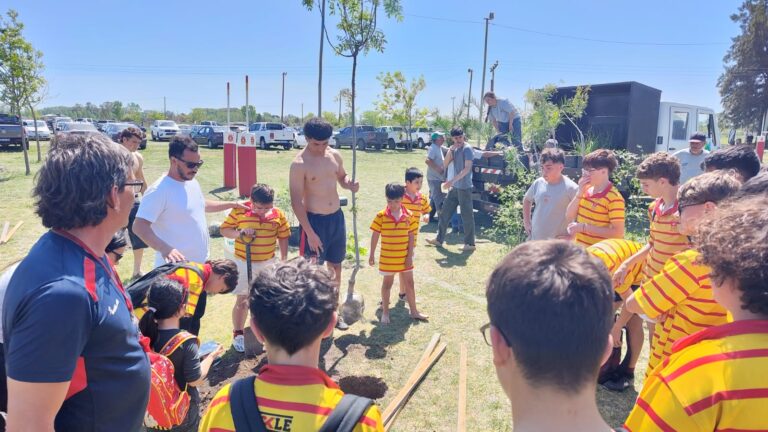 Avanza el plan de forestación de clubes de Espacios Verdes