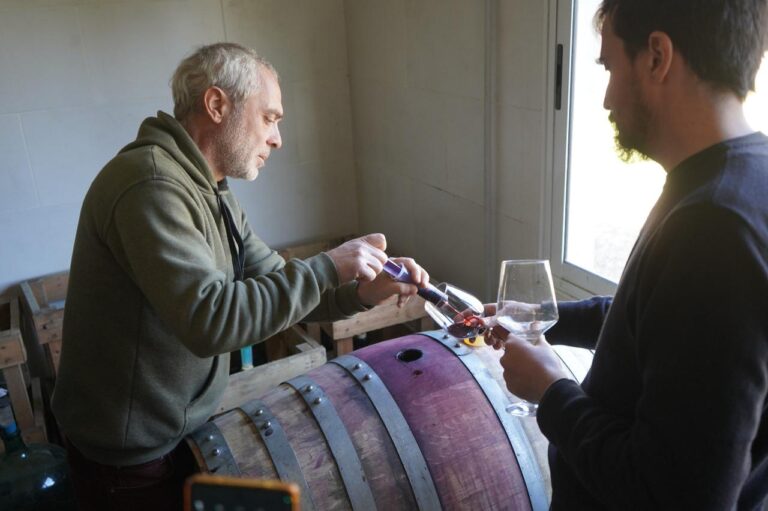 Turismo y reconocimiento: tres viñedos de Mercedes ingresan al catálogo «Vinos Buenos Aires»