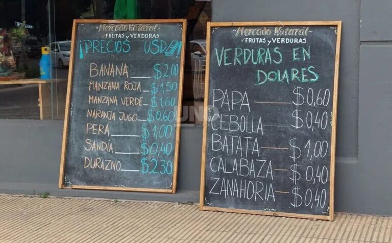Ahora los precios podrán mostrarse en dólares en Argentina
