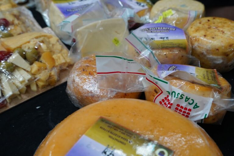 Ferias y degustación de productos locales en Plaza San Martín