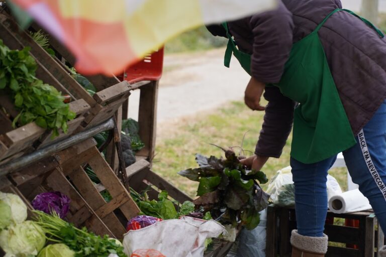 Mercado en tu barrio llega a La Trocha