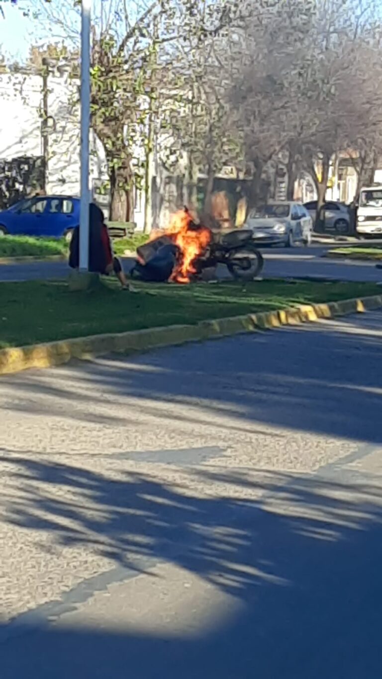 Incendió una moto en pleno cantero de avenida 40 y 13