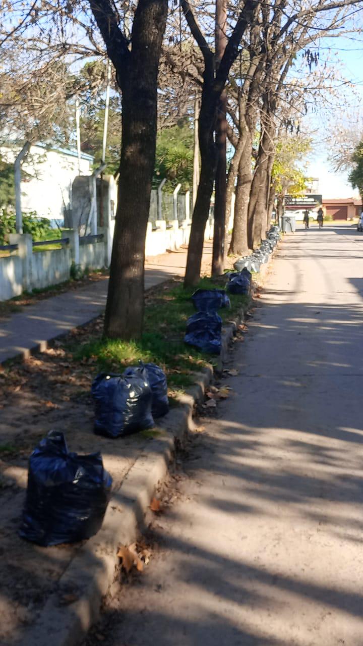 Vecinos por Mercedes propone eliminar el embolsado de hojas en bolsas plásticas