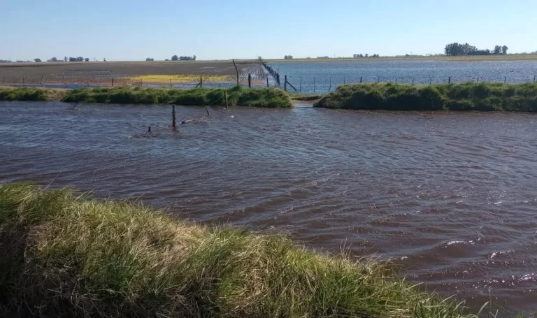 Productores de Bragado, al límite: «Estamos con el agua al cuello por la inacción municipal”