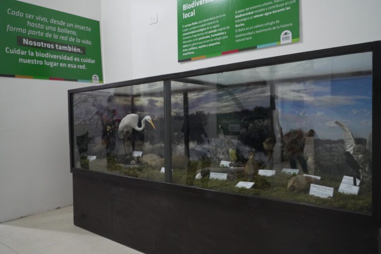 La nueva muestra sobre la Reserva Natural Arroyo Balta se inaugura el viernes